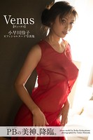 【アダルト写真集】【特典映像付き！】Venus 小早川怜子【ヌード写真集】FANZA限定特別カット付き(KAPLST-2584)